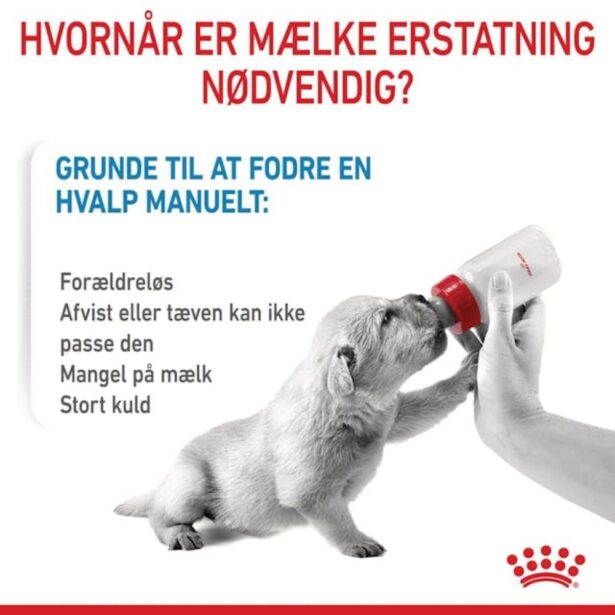 Royal Canin Babydog Milk 400 g mælkeerstatning til hvalpe
