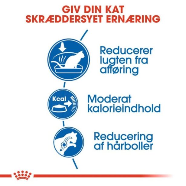 Royal Canin Indoor kattefoder fordele