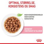 Royal Canin Kitten i sovs 12x85 g vådfoder til killinger