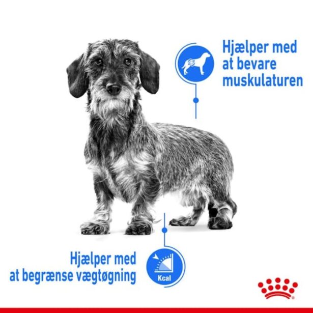 Royal Canin Light Weight Care Mini light hundefoder