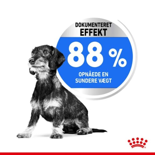Royal Canin Light Weight Care Mini light hundefoder