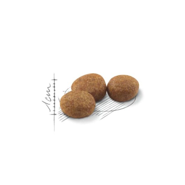 Royal Canin Sterilised kat foderpille
