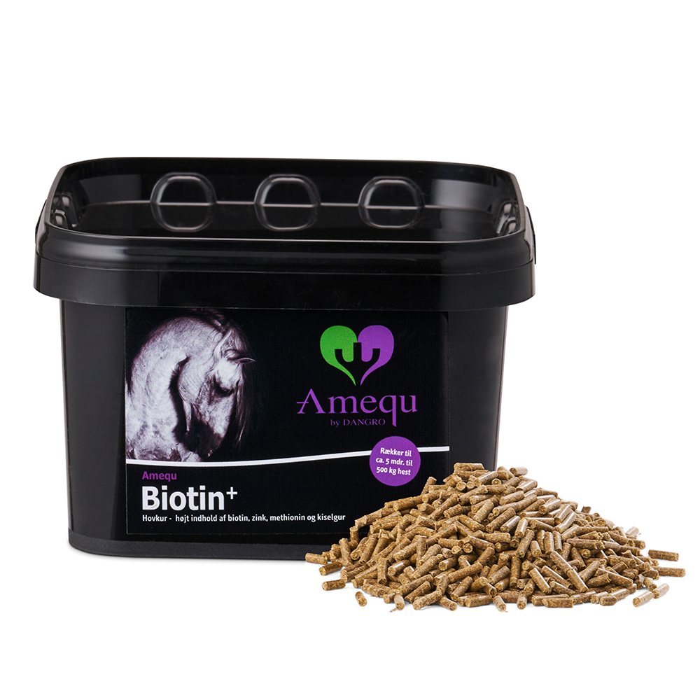 Amequ by Dangro Biotin+ - 1,5 kg.