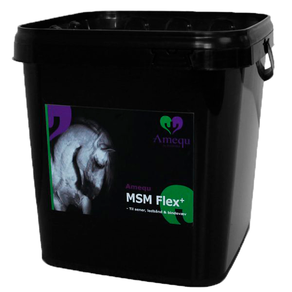 Amequ by Dangro MSM Flex+ - 2 kg.