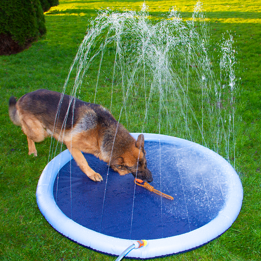 Companion Dog Splash Sprinkle Pad ø150 cm