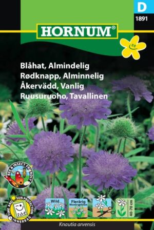 Blåhat, almindelig (D) 1891