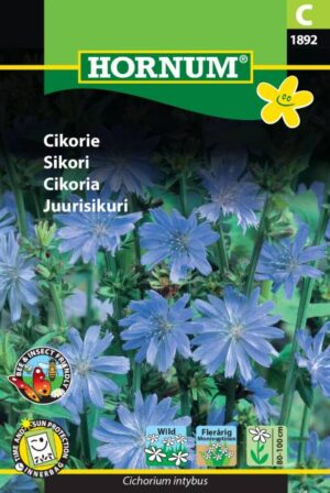 Cikorie (C ) 1892