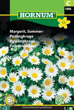 Margurit, sommer (C) 1896