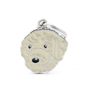 Lagotto Romagnolo, Italiensk vandhund