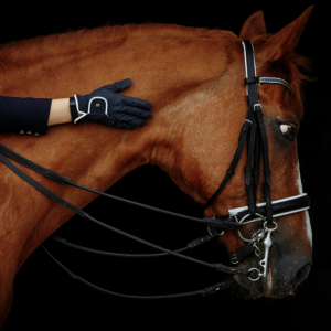 Ridehandsker