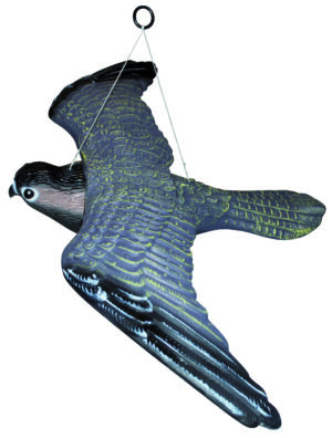Skræmmer Flyvende Rovfugl B.54 Cm