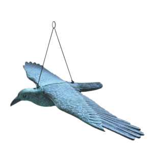Skræmmer Flyvende rovfugl B.81 Cm