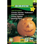 Hornum frøpose græskar mandel halloween 1422
