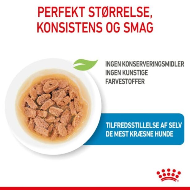 Royal Canin Mini Adult i sovs 12x85 g vådfoder til hvalpe