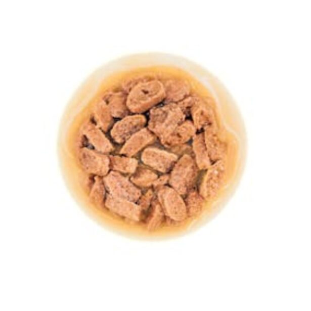 Royal Canin Mini Adult i sovs 12x85 g vådfoder til hvalpe