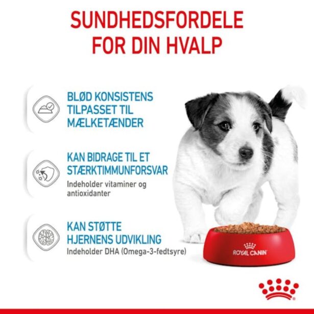 Royal Canin Mini Adult i sovs 12x85 g vådfoder til hvalpe