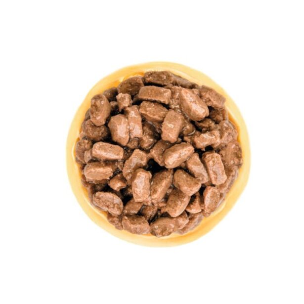 Royal Canin Mini Ageing i sovs vådfoder