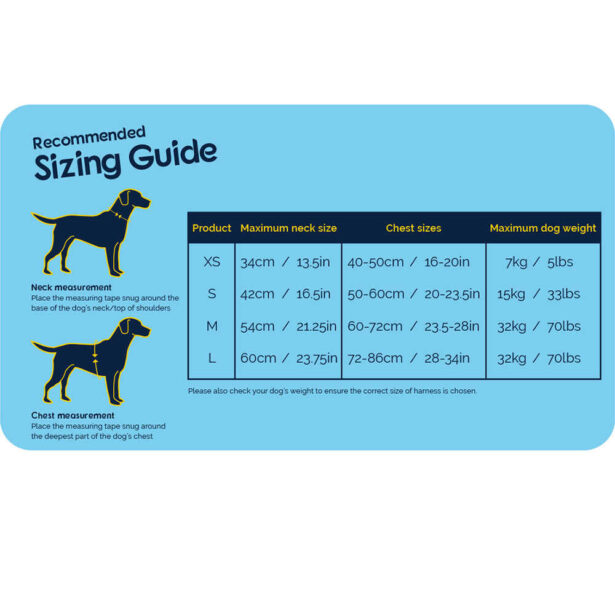 Størrelses skema guide til carsafe sikkerheds sele til hunde