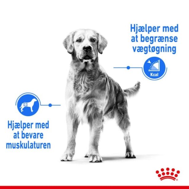 Royal Canin Medium Light Weight Care fordele