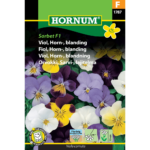 1787 viol hornum