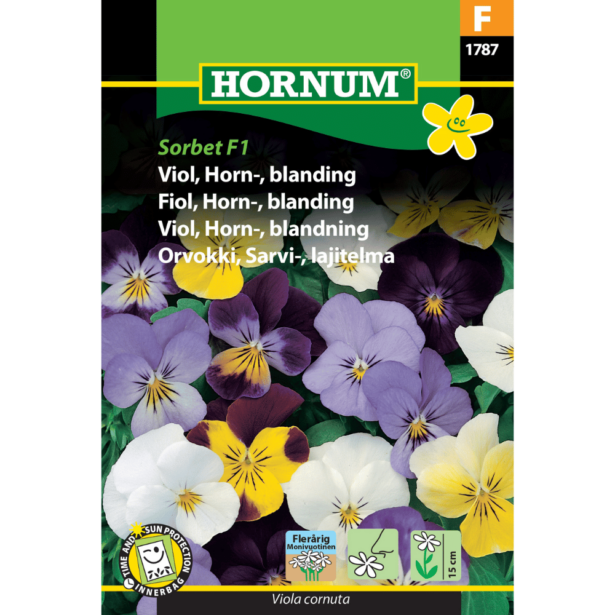 1787 viol hornum