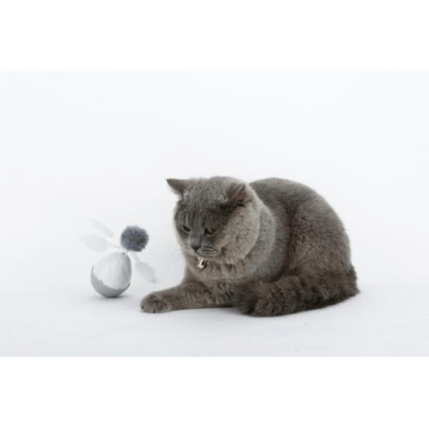 Companion Electronic Motion Toy aktivitetslegetøj til kat