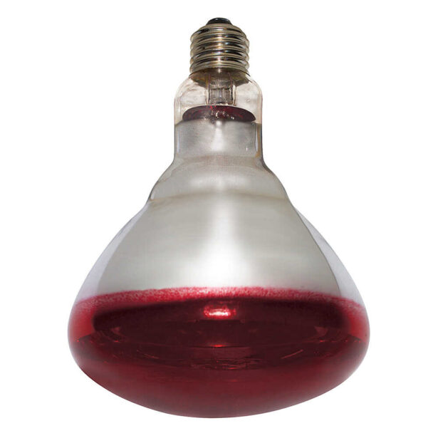 Varmepære philips 150 watt eller 250 watt