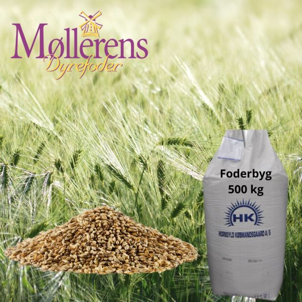 Møllerens foder byg i bigbag. 500 kg direkte leveret