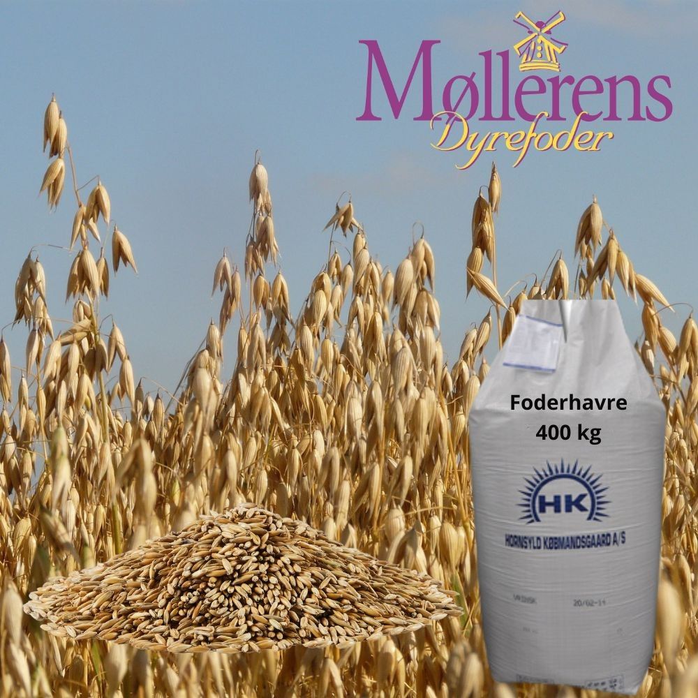 Havre hel Møllerens 500 kg bigbag LEVERET