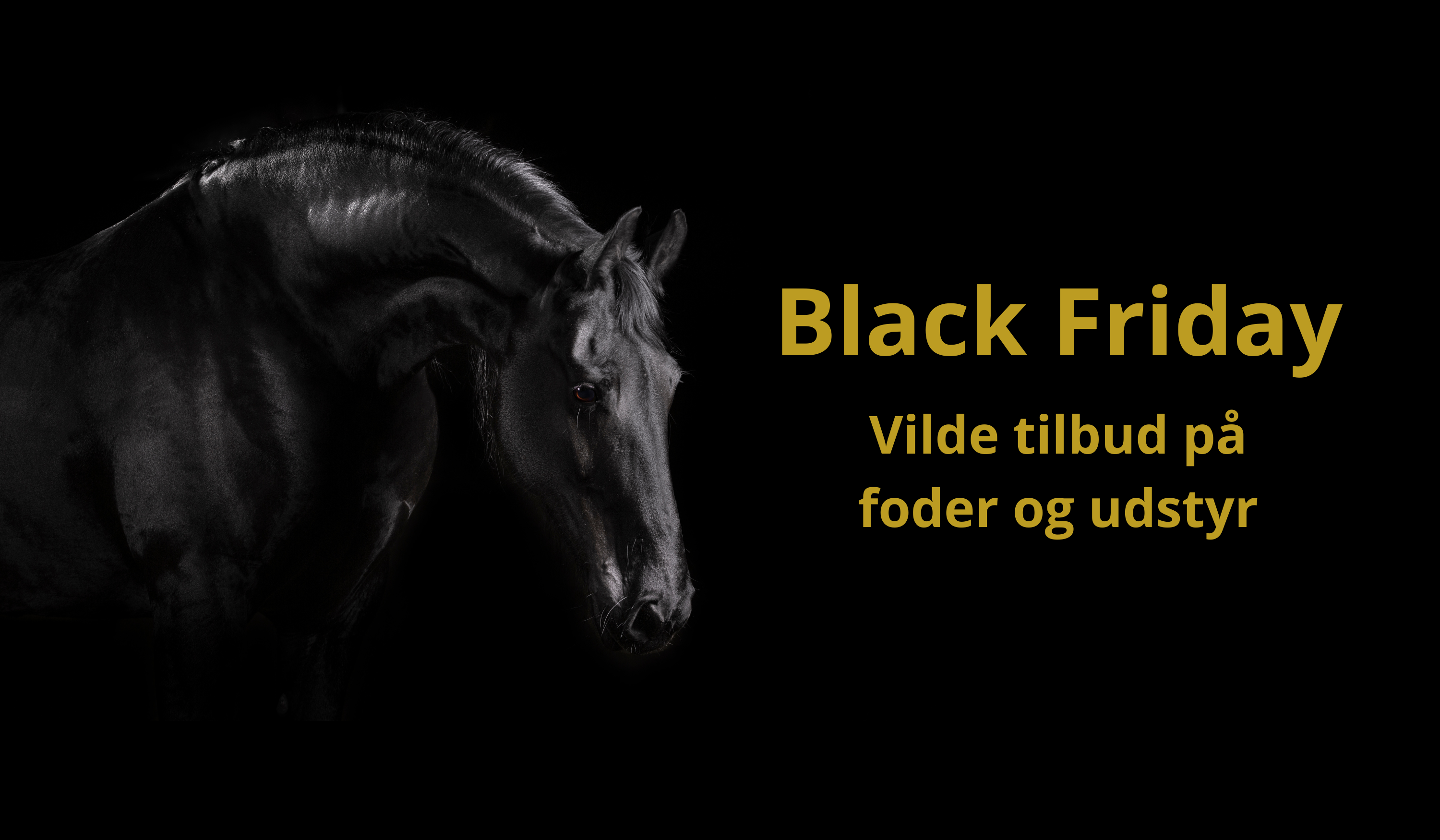 Black friday tilbud til hest
