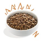 Edgard Cooper Adult Grass-Fed Lamb 12 kg kornfrit hundefoder med lam