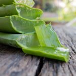 Nathalie HorseCare Aloe Vera