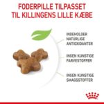 Royal Canin Kitten killingefoder