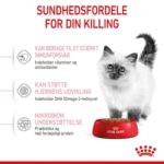 Royal Canin Kitten killingefoder