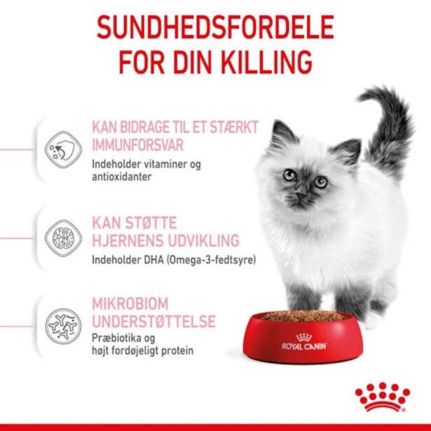 Royal Canin Kitten killingefoder