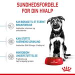 Royal Canin Maxi Puppy hvalpefoder fordele