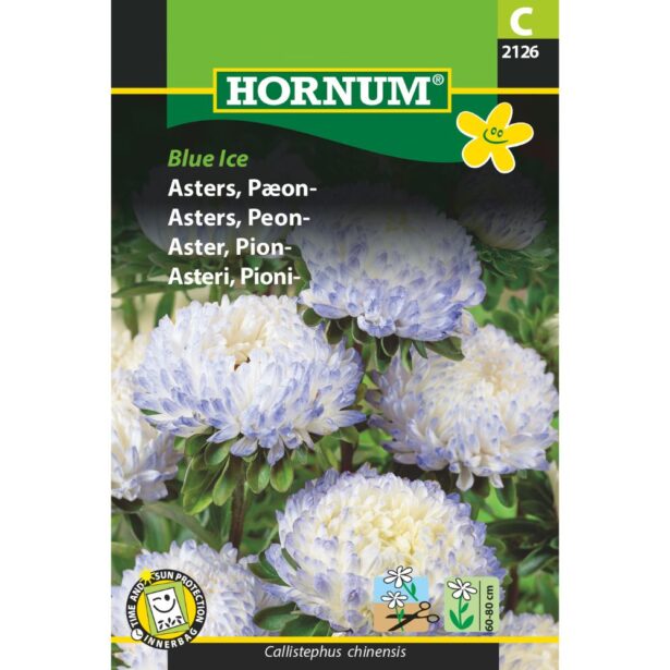 Asters Pæon blue ice 2126 hornum frøpose