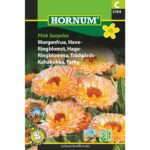 Morgenfrue have pink surprise 2144 hornum frø