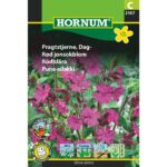 Pragtstjerne dag 2147 hornum frø
