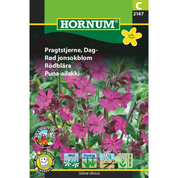 Pragtstjerne dag 2147 hornum frø
