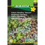Sedum blanding stenurt 2148 hornum frø