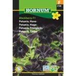 Petunia have blackberry f1 2158 hornum frø