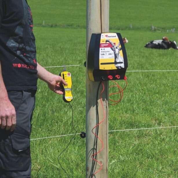 Horizont hegnstester trapper 6 led