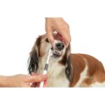 Trixie tandbørste 3-hovedet til hund