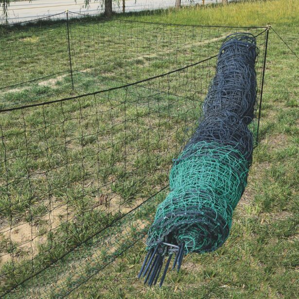 Indhegning til høns 1,12 x 50 meter flytbar hegn