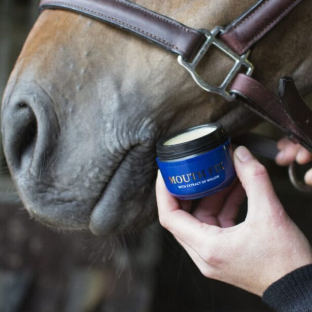 Nathalie Horsecare Mouth fix