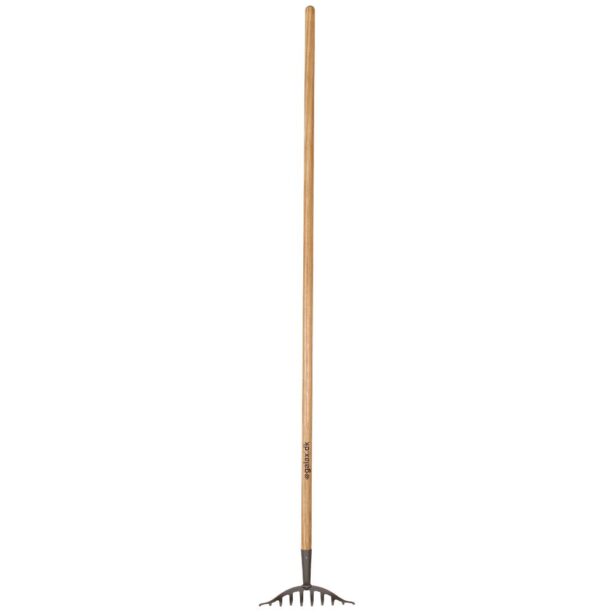 Galax Rosenrive 10 tands bredde 25 cm