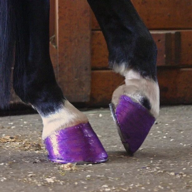 Twinkle Toe hovlak glitter til heste lilla