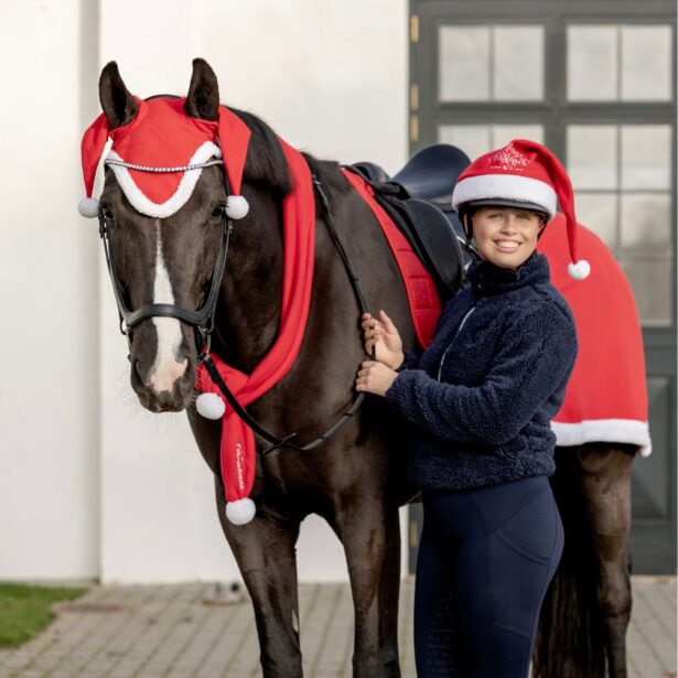 HG Aw25 julehalstørklæde til hest