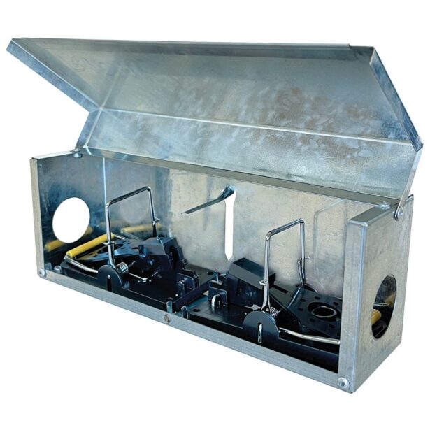 Tunnelbox mus m 2 smækfælder